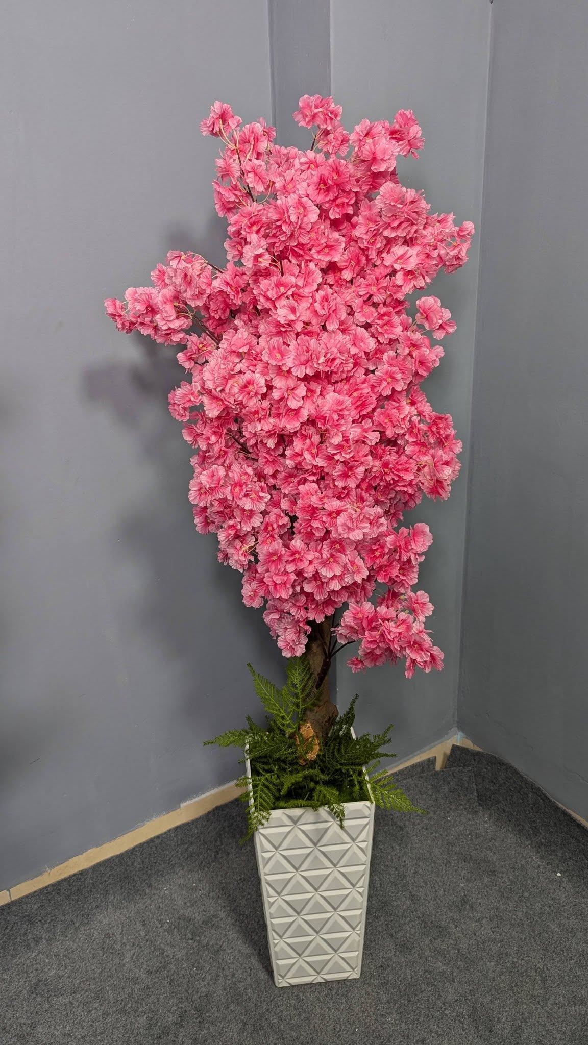 Pink Bagan Billash