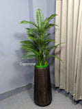 Big Tob with Plant