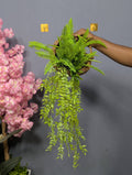 Wall Hanging