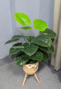 Hand Made Bucket With plants