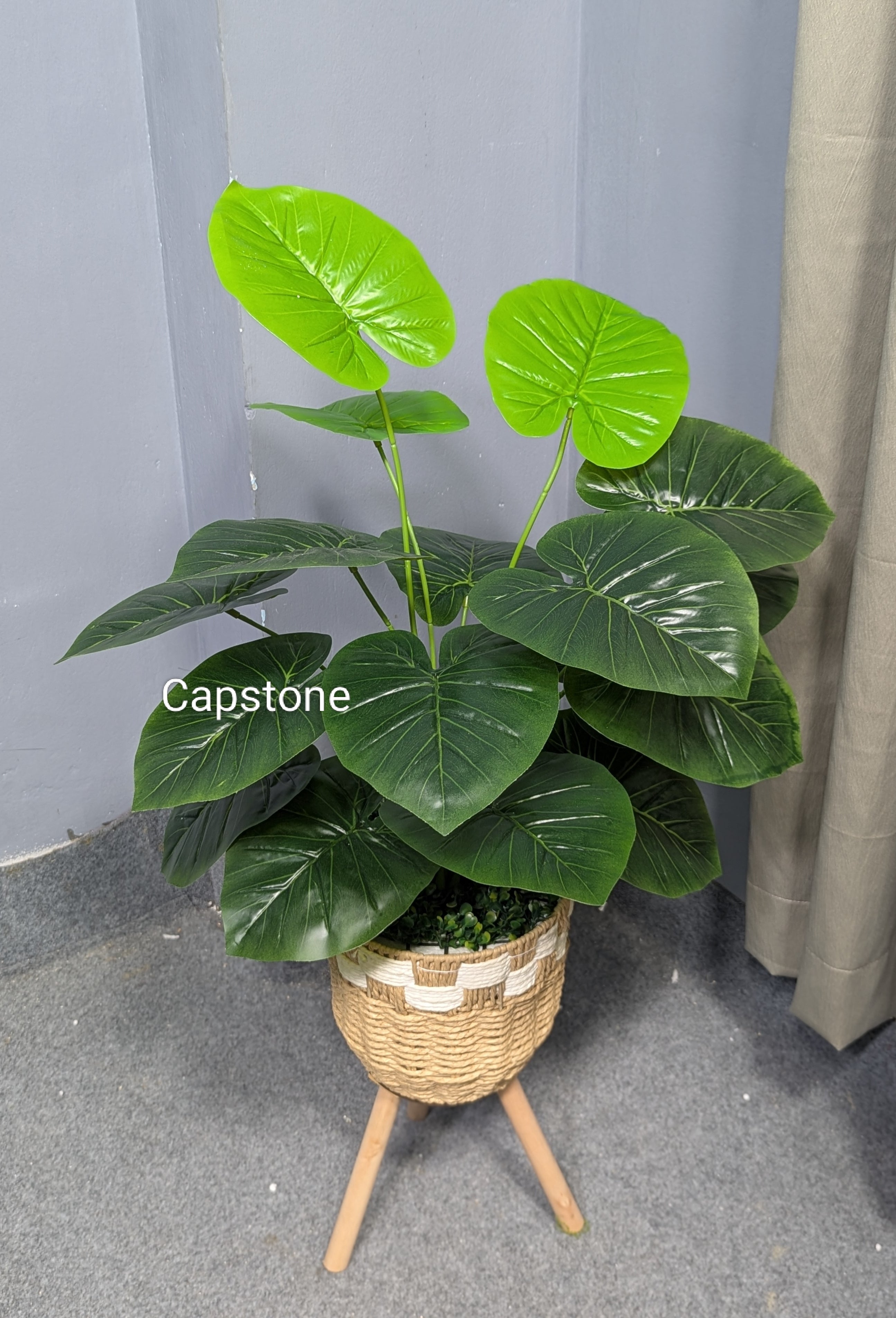 Hand Made Bucket With plants