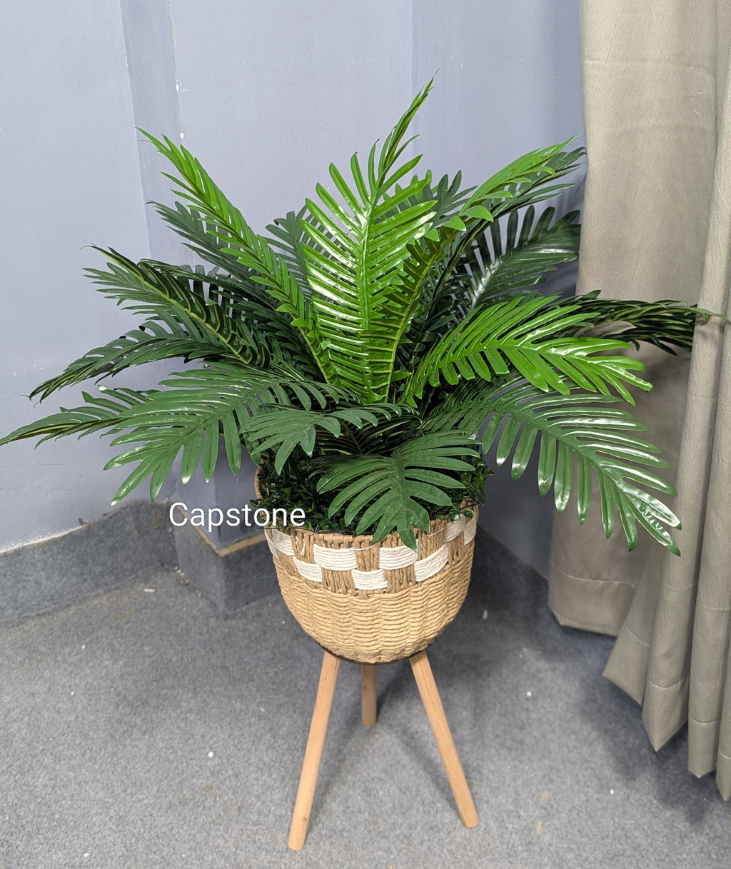 Hand Made Bucket With plants