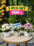 3 Pieces Flower Combo 999TK