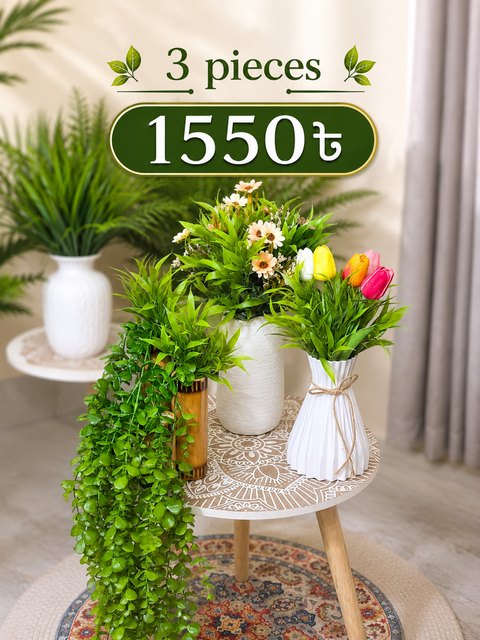 3 Pieces 1550 Combo